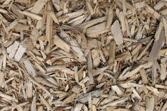 biomass boilers Pabo